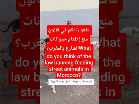 ماهو رأيكم في قانون منع إطعام حيوانات الشارع بالمغرب         اكسبلور