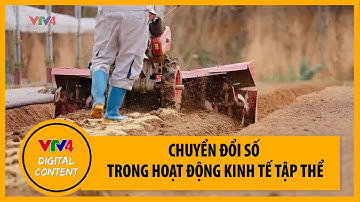 Chuyển đổi số trong hoạt động kinh tế tập thể | VTV4