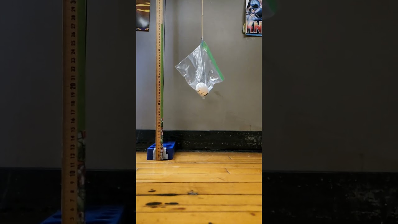 2023 Egg Bungee Drop 1