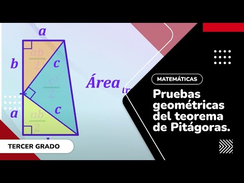 Video: ¿Existe una prueba de geometría Staar?
