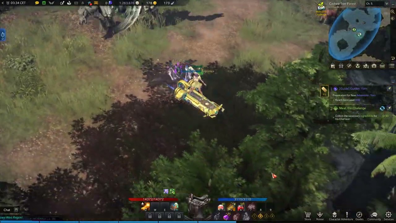 Lost Ark - Una`s daily quest:Meat,The Challenge | Seaswept Woods, Tortoyk | Meat,The Challenge |