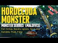 🐟🎣 How to Catch Hordecuda Monster at Noomaa Kuda Atholhu (Maldives) | Full Guide 🎣🐟