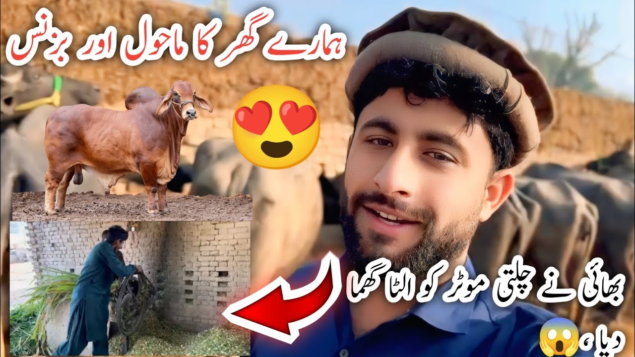 Hamare ghar ka mahaul aur business😍