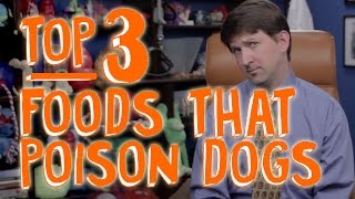 The Top 3 People Foods Poisonous To Dogs