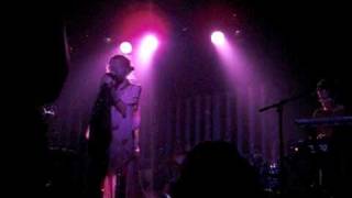Golden Filter - Solid Gold