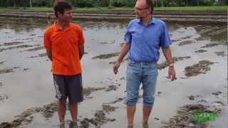 1. IRRI Agronomy Challenge 2: Getting Started Again & What We Will Do Differently (5 Dec. 2012) screenshot 1