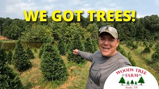 Starting To Look Like A Real Tree Farm Around Here