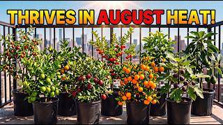 7 Container Dwarf Fruit Trees and Shrubs That Actually THRIVE in August Heat!