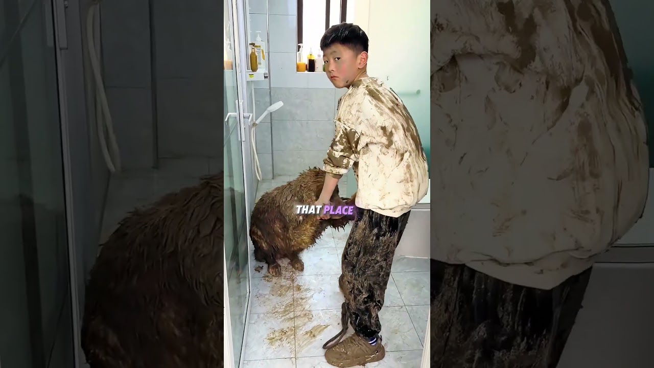 That mud bath changed everything   #usa