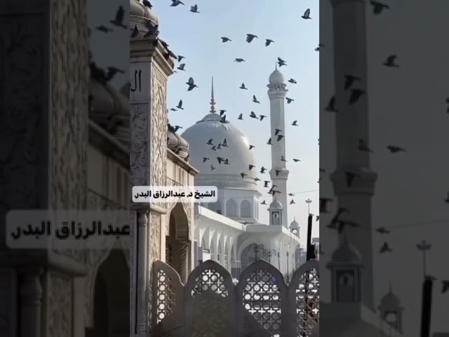من هو الرجل وماهي الرجولة #لاتنسوا_الاشتراك_في_القناة #عبد_الرزاق_بن_عبد_المحسن_البدر