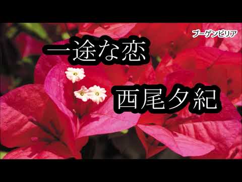 西尾夕紀　一途な恋　カラオケ