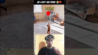 Try to not Cry 😢 #shorts #doglove #dog #foryou #pets #animals #cat