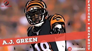 Fantasy Football 2019 - Fantasy Snapshot A.J. Green