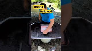Part 1 Coosa Bulkhead [LIFETIME]
