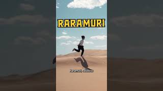 Cest Quoi Le Sotol ?