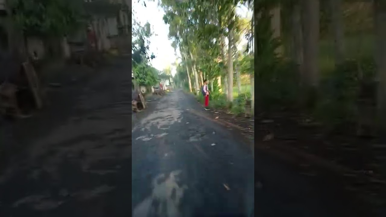 jalan menuju dusun Montong obok desa jelantik jonggat