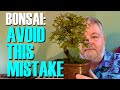 The bonsai beginner mistake we all make and how to avoid it