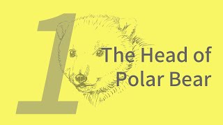 Ada the Polar Bear 1: Head | Learn to Animals with ZHAO Chuang