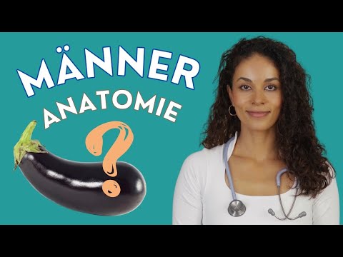 Penis, testicles, and more: What you REALLY need to know! | DR. FLOJO