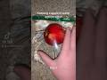 Keeping an apple in water until it’s a fish!! 😳 #shorts #shortsfeed #shortvideo