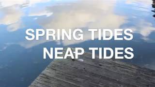 Spring Tides Neap Tides