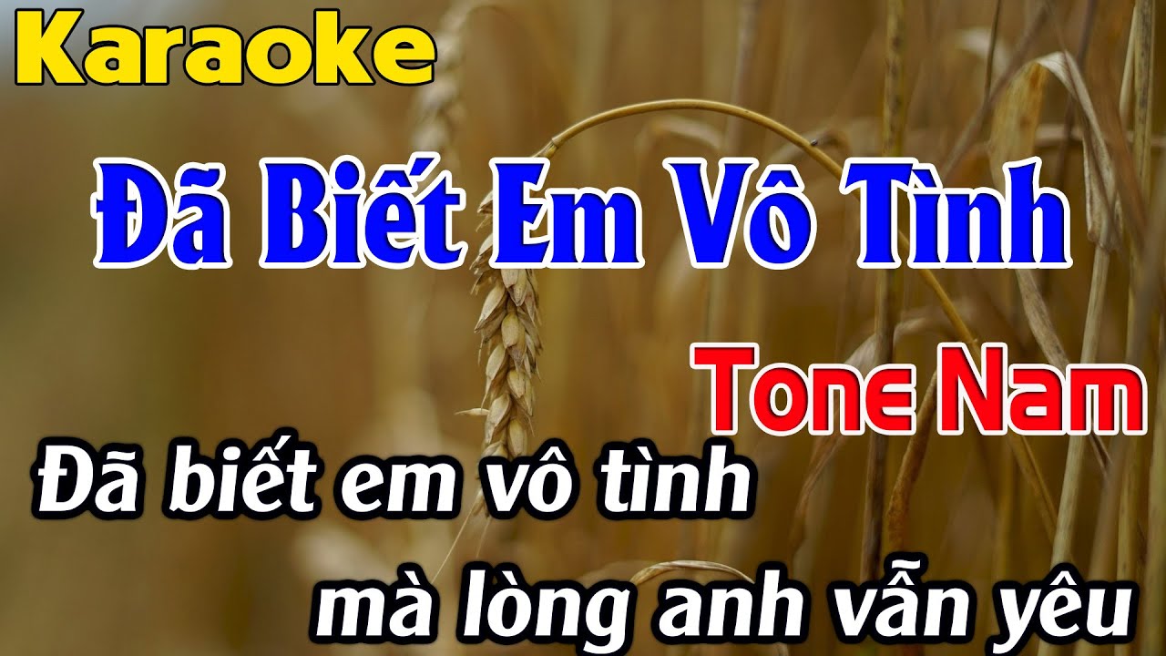 Karaoke Đã Biết Em Vô Tình Karaoke Tone Nam Beat Chuẩn Nhất 2025 Karaoke Linh Phạm