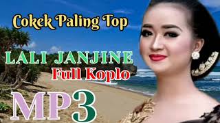 Lali Janjine Full Cokek Sragen