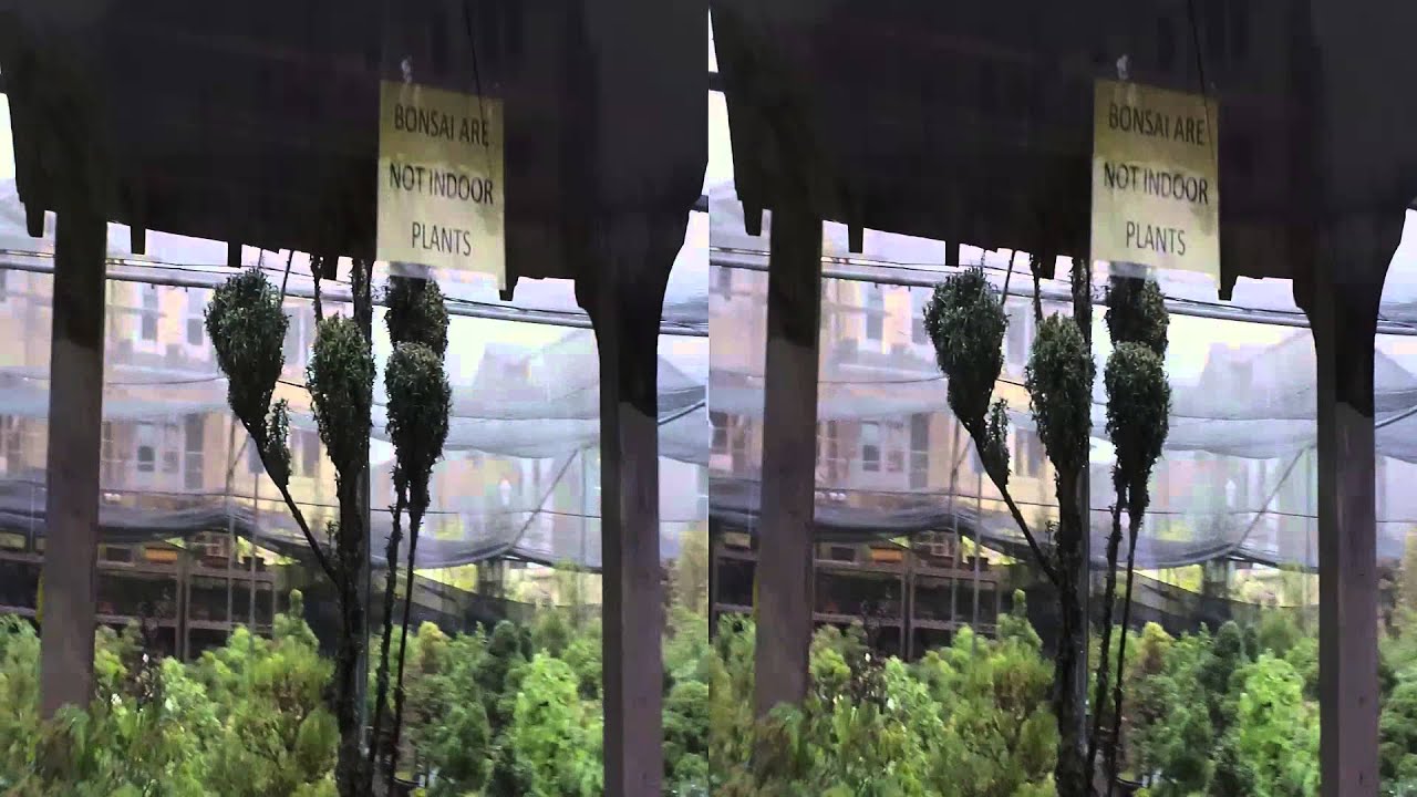 Immersion Factor demo - Bonzai Garden [3d SBS 1080p]