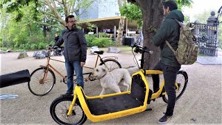 Cycling with a Dog, a Cargo Bike and a Tandem in Amsterdam