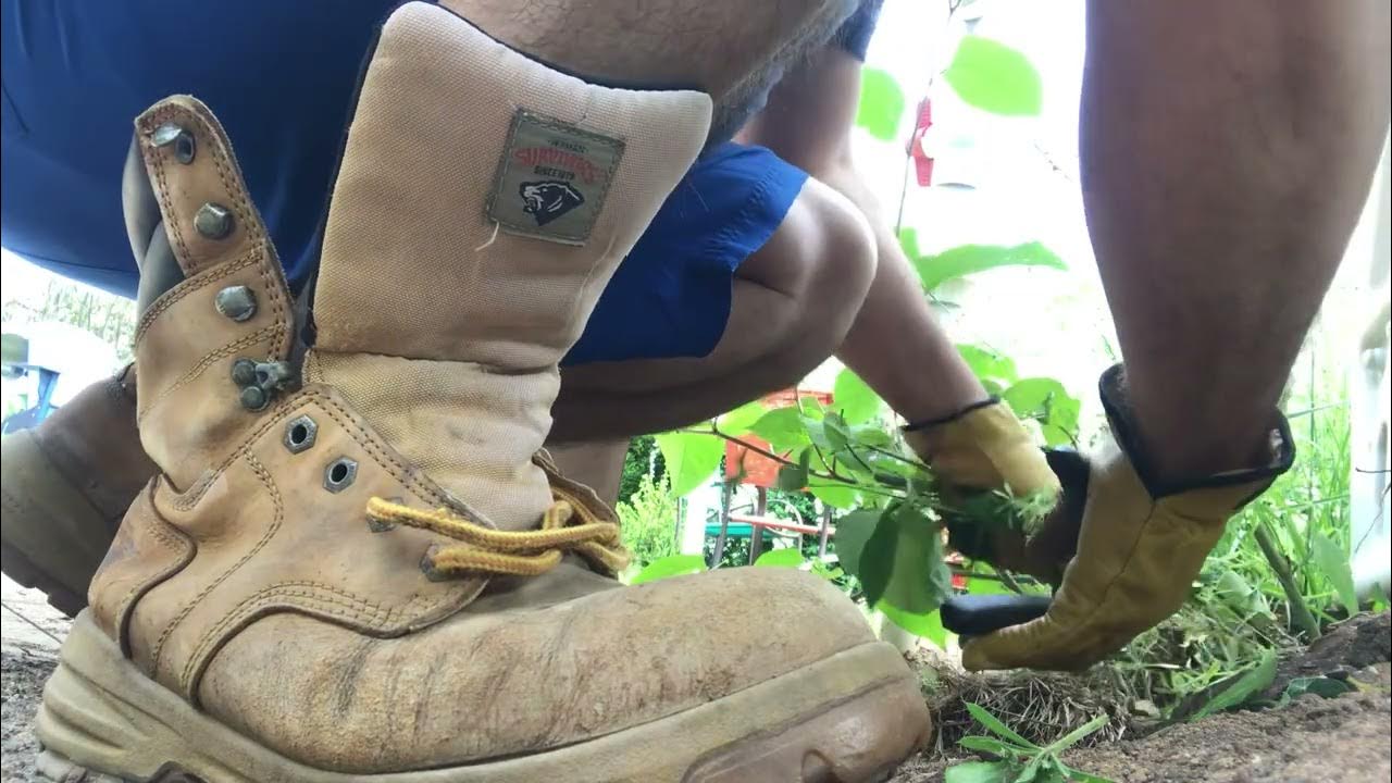 Working In The Yard Wearing Trashed Herman’s Survivors Work Boots - YouTube
