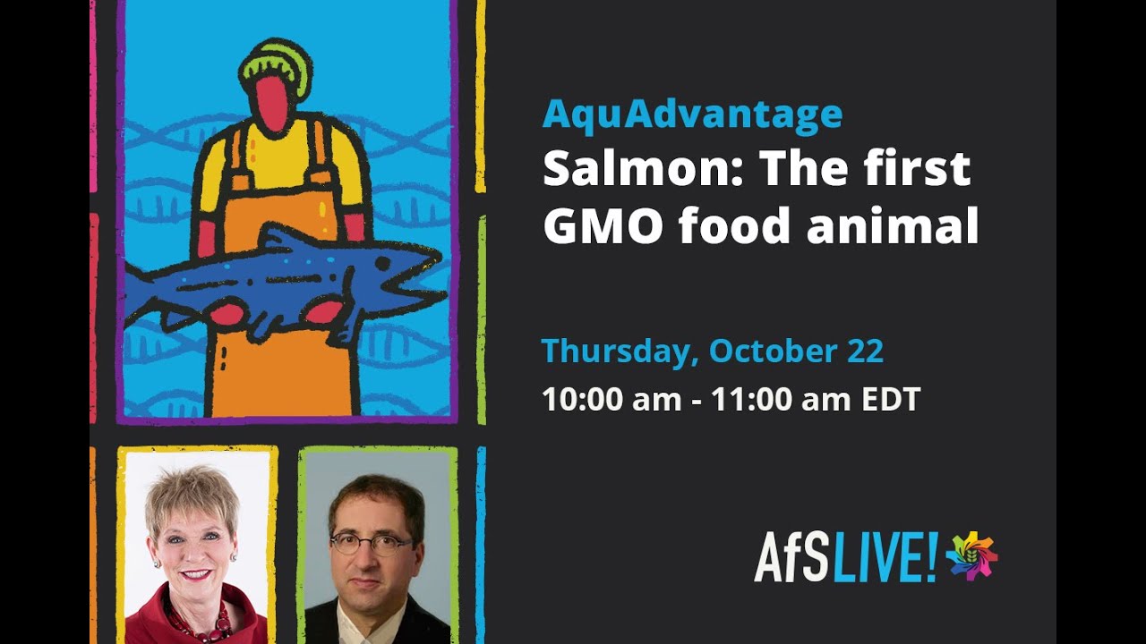 AFS Live AquAdvantage salmon First GMO food animal YouTube