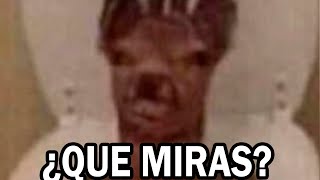 Shitposting Compilation V74 | Shitpost Español
