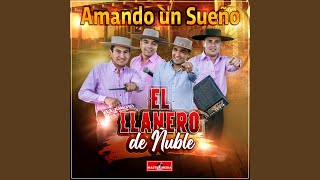 Video thumbnail of "El llanero de Ñuble - Como Marea"