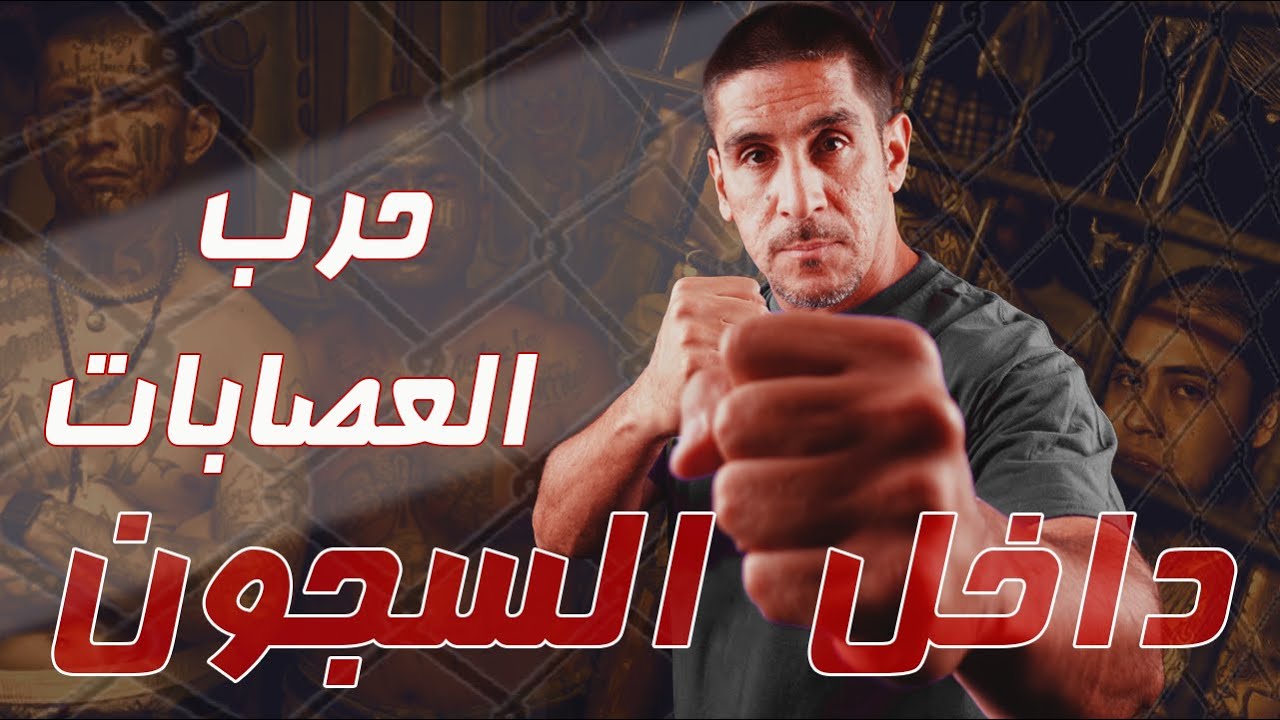 حرب العصابات داخل السجون | 3 | يوميات ياسر البحري