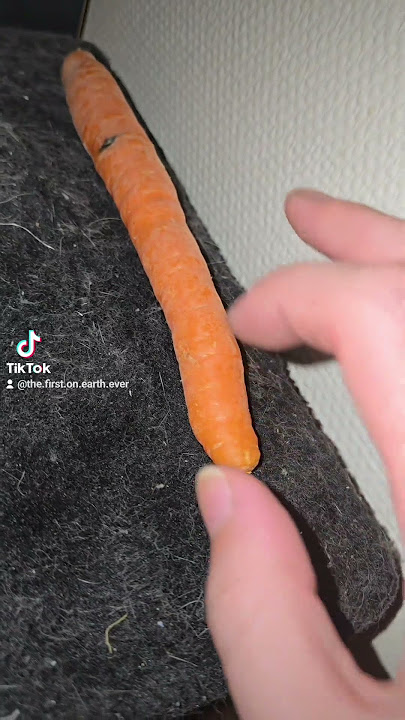 first time seeing cynthia mole ested with a carrot