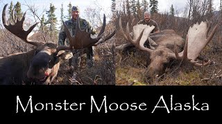 Alaskan Giants!!! Two Monster Bull Moose