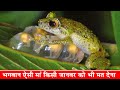 भगवान ऐसी मां किसी को भी ना दे|Worst Moms in the Animal Kingdom| Worst Mothers In The Animal Kingdom