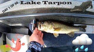 30 Days Fishing / No Shave Challenge (Day 01) - Lake Tarpon - Bass Fishing