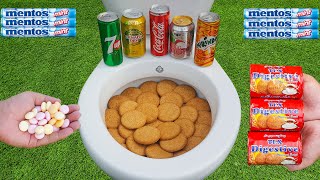 Experiment !! Biscuit Vs  Cola, Mtn Dew, canda cola, Fanta and Mentos in Toilet