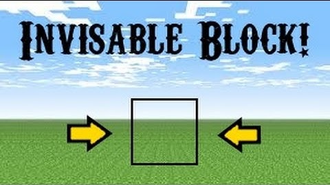 Invisible Block Glitch - Minecraft Glitch