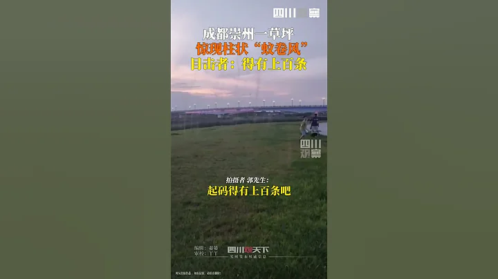 成都崇州現柱狀蚊卷風，目擊者說有好幾百條，怕它們會咬人。觀觀提醒：夏天註意防蚊蟲！ - 天天要聞