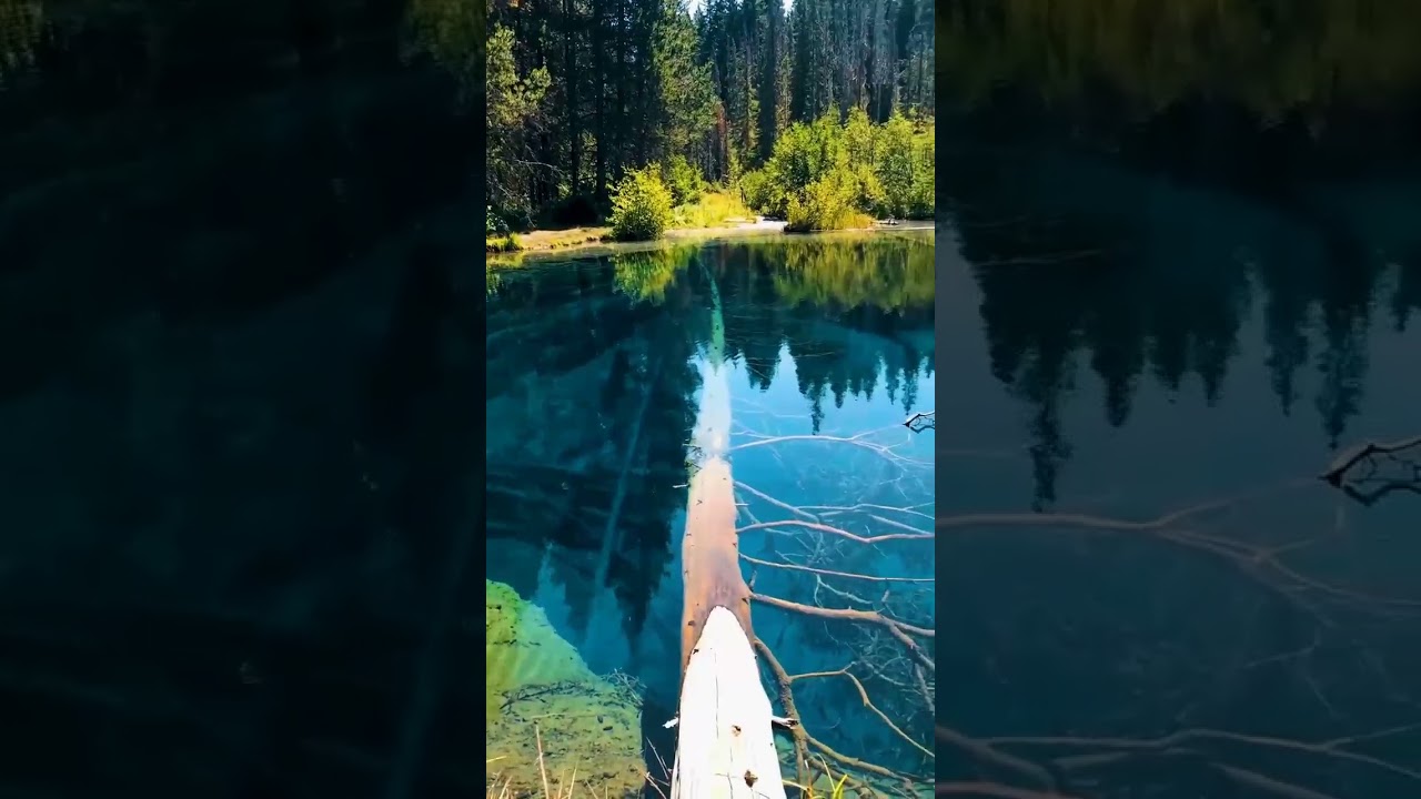 Mount Hood National forest in U S  State of Oregon | insta reels | 