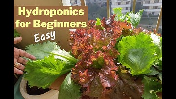 Hydroponics for Beginners (English), by GreenLoop