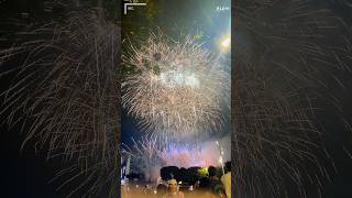 #singapore #travel #nationalday #love #fireworks #views #night #viral #viralvideo