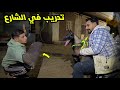 تمساحه نزلت الشارع وبهدلت الدنيا