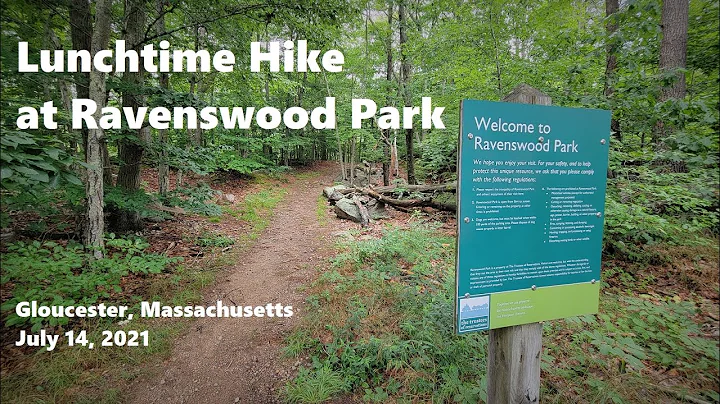 Lunchtime Hike at Ravenswood Park, Gloucester, MA