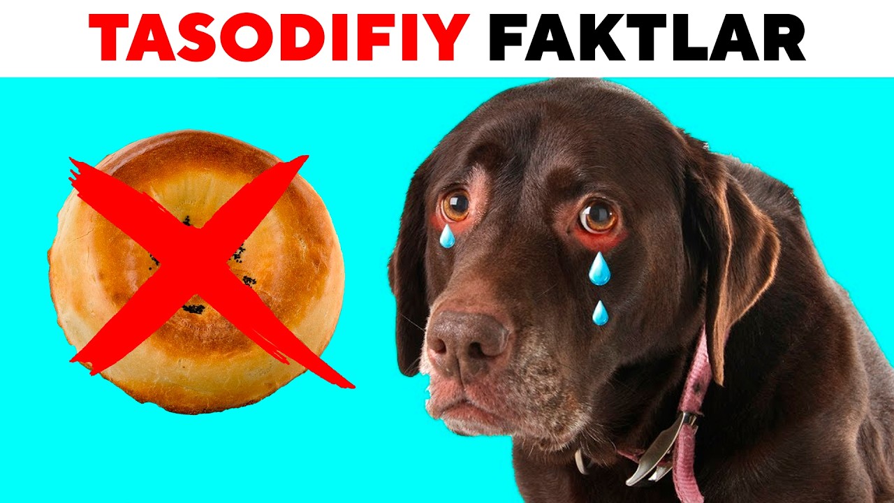 TASODIFIY 100 TA FAKT 😱 | 3-QISM