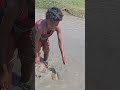 Amazing Boy Catching Fish By Hand