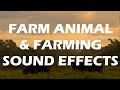 Animal Farm Excellent Farm Animal Sound Effects Farming Sounds 