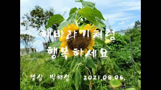 2021년 8월 6일 2021년 8월 6일